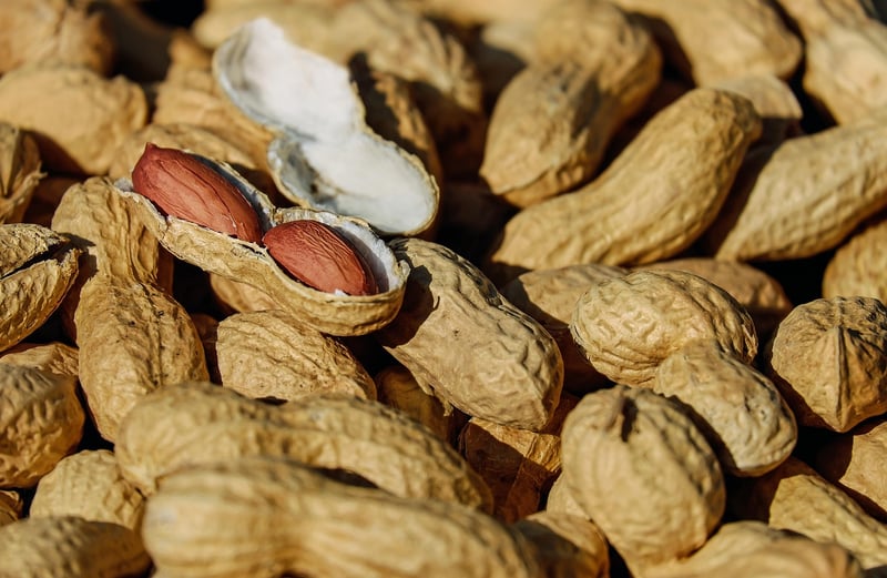 Almond Flour